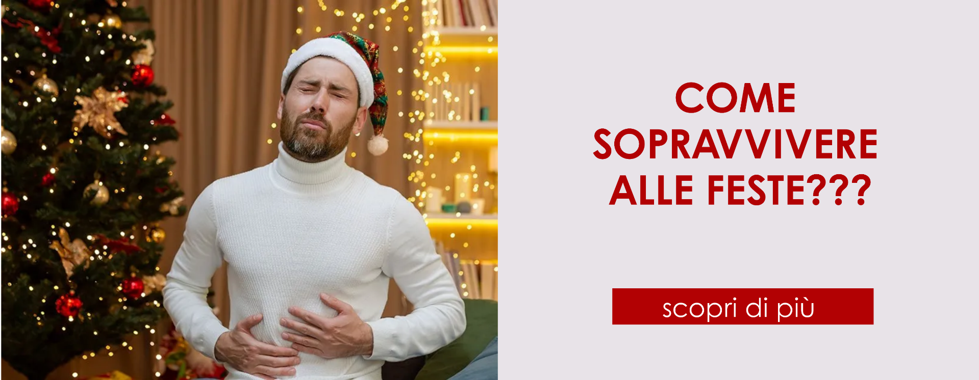 Sopravvivere alle feste