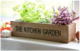 Origano e rosmarino contro il diabete 2