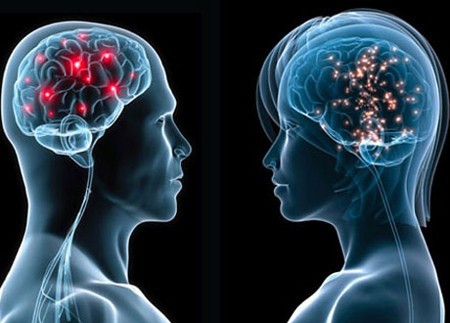 cervello uomo e donna a confronto | Bravi Farmacie